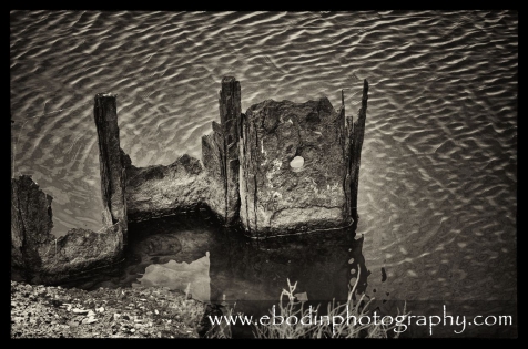 Camargue © 2013

Reste d'un ancien ponton sur l'étang de Vaccares en Camargue