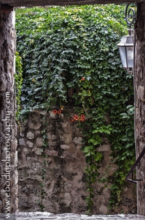 Ruelle © 2014

ruelle du vieux village des Arcs sur Argens dans le Var