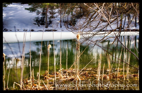 Thorenc © 2014

Lac de Thorenc à la fin de l'hiver (Alpes Maritimes)