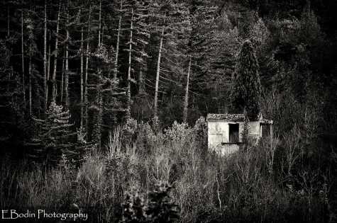 Abandon © 2015

Abandonnée en pleine forêt