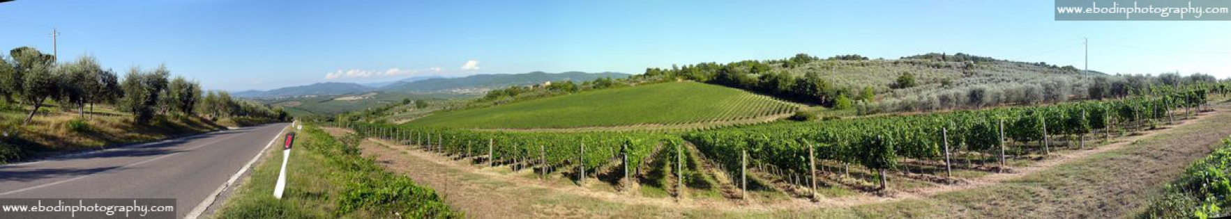 Chianti © 2013
Les vignobles du Chianti en Toscane (Italie)