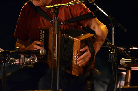 Mairtin O'Connors Concert à Bourg de Péage (France) en 2012
© 2012