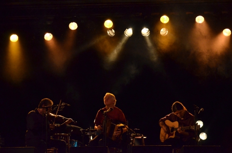 Mairtin O'Connors Concert à Bourg de Péage (France) en 2012
© 2012