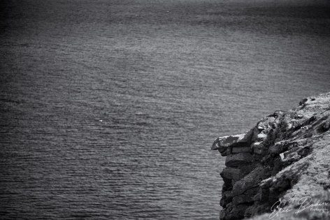 Cap Nord Sommet de la falaise du Cap Nord
©2019