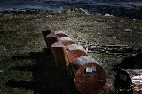 Aire de repos Au bord du fjord, un espace aménagé avec 2 bancs taillés dans 2 troncs d'arbres découpés
©2019