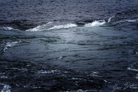 Maelstrom Maelströms
Au moment de la marrée, deux courants marins parmi les plus rapide du monde se croisent à cet endroit et génèrent des Maelströms pouvant atteindre 10m de diamètre et 5m de profondeur
©2019