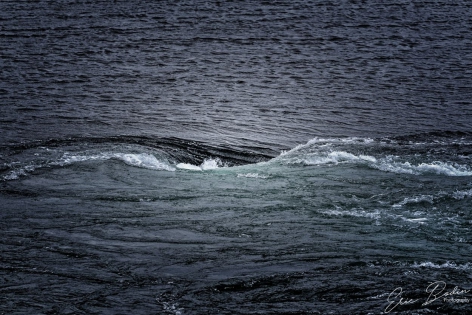Maelstrom Maelströms
Au moment de la marrée, deux courants marins parmi les plus rapide du monde se croisent à cet endroit et génèrent des Maelströms pouvant atteindre 10m de diamètre et 5m de profondeur
©2019