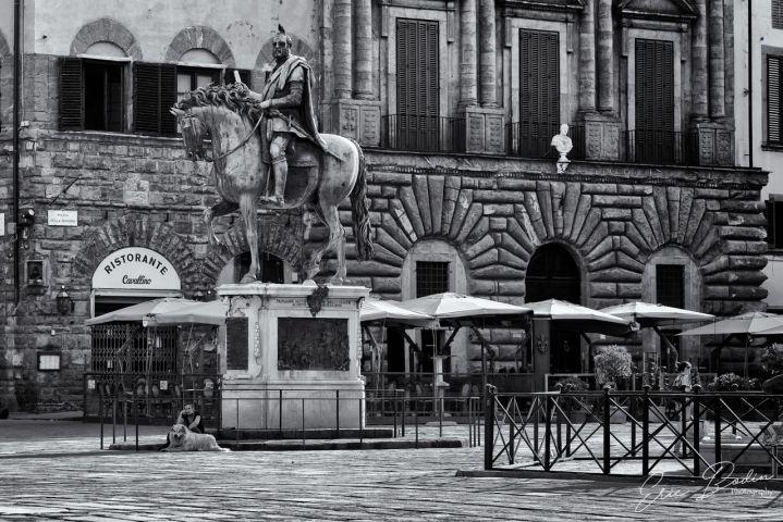 Statua di Cosimo I dei Medici Piazza della Signoria
©2021 : Eric BODIN Photography